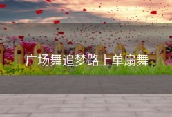 广场舞追梦路上单扇舞