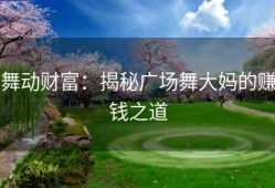 舞动财富：揭秘广场舞大妈的赚钱之道