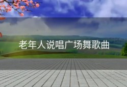 老年人说唱广场舞歌曲