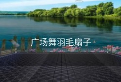 广场舞羽毛扇子