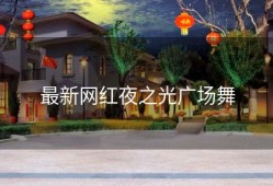 最新网红夜之光广场舞