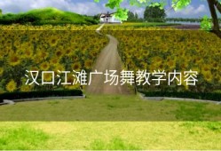 汉口江滩广场舞教学内容