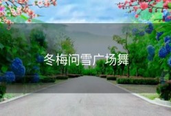 冬梅问雪广场舞