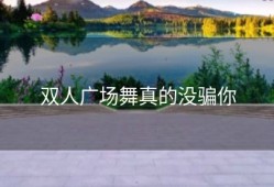 双人广场舞真的没骗你