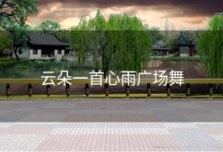 云朵一首心雨广场舞