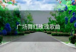 广场舞红玫瑰歌曲