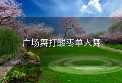 广场舞打酸枣单人舞