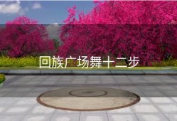 回族广场舞十二步