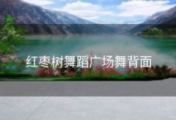 红枣树舞蹈广场舞背面