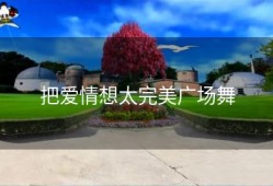 把爱情想太完美广场舞