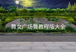 舞女广场舞教程版大全