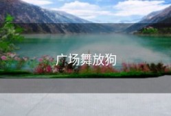 广场舞放狗