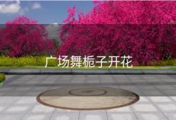 广场舞栀子开花