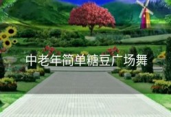 中老年简单糖豆广场舞