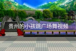 贵州的小孩跳广场舞视频
