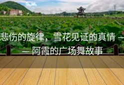 悲伤的旋律，雪花见证的真情 —— 阿霞的广场舞故事
