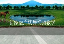 新家庭广场舞视频教学