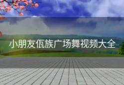 小朋友佤族广场舞视频大全