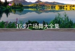 16步广场舞大全集