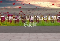 广场舞之魂：思念的山谷里的欢乐旋律
