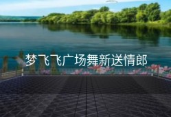 梦飞飞广场舞新送情郎