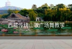 西藏传统山歌广场舞教学