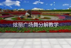 炫丽广场舞分解教学
