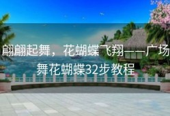 翩翩起舞，花蝴蝶飞翔——广场舞花蝴蝶32步教程
