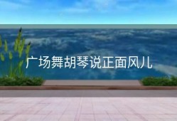 广场舞胡琴说正面风儿