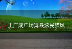 王广成广场舞最炫民族风