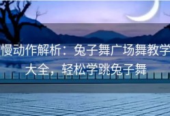 慢动作解析：兔子舞广场舞教学大全，轻松学跳兔子舞