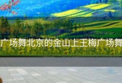 广场舞北京的金山上王梅广场舞
