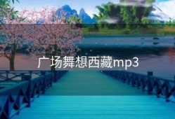 广场舞想西藏mp3