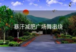暴汗减肥广场舞串烧
