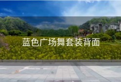 蓝色广场舞套装背面