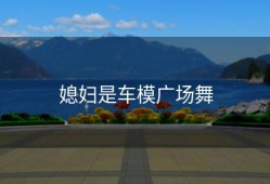 媳妇是车模广场舞