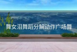舞女泪舞蹈分解动作广场舞