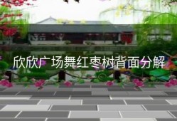 欣欣广场舞红枣树背面分解