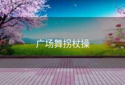 广场舞拐杖操