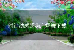 时尚动感超嗨广场舞下载