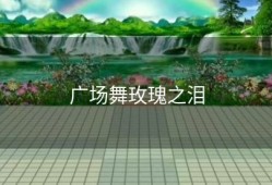 广场舞玫瑰之泪