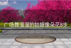 广场舞溜溜的姑娘像朵花8步