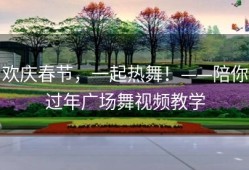 欢庆春节，一起热舞！——陪你过年广场舞视频教学