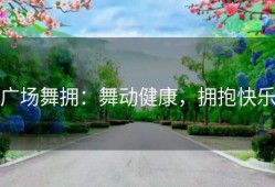 广场舞拥：舞动健康，拥抱快乐