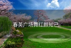 春英广场舞红颜知己