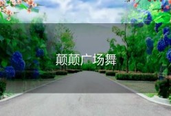 颠颠广场舞