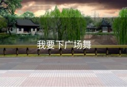 我要下广场舞