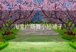 淘宝广场舞小短裙子