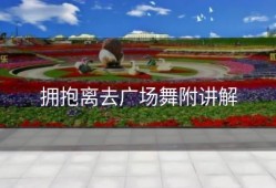 拥抱离去广场舞附讲解
