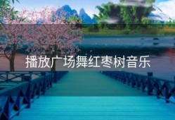 播放广场舞红枣树音乐